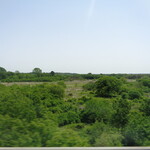 ラーメン二郎 - 緑っていいね～