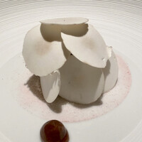 オマージュ - 桜肉　桜鱒
                      馬肉と桜鱒のタルタル、お皿には桜の塩とパルメザンチーズを、周りはホワイトマッシュルームのスライスです。
                      桜尽くしの料理、今年は桜の花見を楽しめませんでしたから特別な思いが湧いてきます。