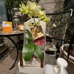 ビストロ セレニテ - 