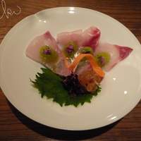 山城屋庄蔵 - ～向附～　桜鯛湯霜造り　春キャベツの醤油１