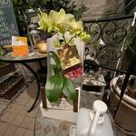 ビストロ セレニテ - 