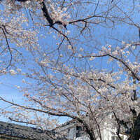 ルアン NIPPONIA HOTEL 奈良 ならまち - お庭♪