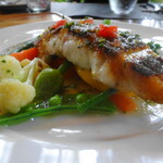フォセッタ - 真鯛のポワレ
