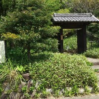 洋食 つばき - 