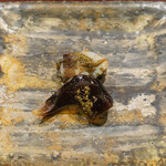 日本料理 太月 - 