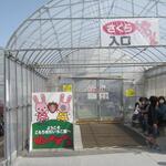 こもろ布引いちご園 - 