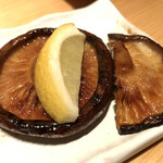 Torimasa - 椎茸