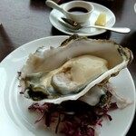 トラットリア グランボッカ - 岩ガキ