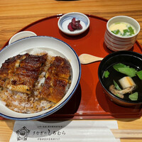 うなぎのしろむら 春日井 - うなぎ丼並