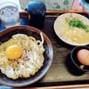 手打十段 うどんバカ一代