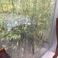 レストラン ヒロミチ - 