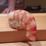 鮨 さかい - 車海老