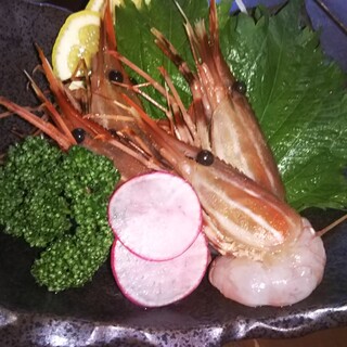 鉄ばる あうん_1