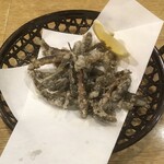 春のお店 - どじょう唐揚