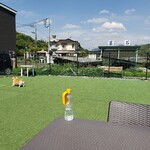 みたカフェ - 
