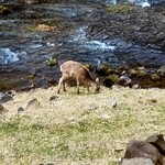 ラビスタ阿寒川 - 