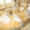 パン工房　クランベリー - 料理写真:田舎パン　ライ麦カンパーニュ
