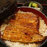 Unagi Sakata - 