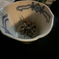 出羽屋 - 冬に木のてっぺんから取ってくるそうです。
                    色々、想像を超えて目や鼻や口を攻撃してきます。感動のお料理でした。 出羽屋 - 冬に木のてっぺんから取ってくるそうです。
                    色々、想像を超えて目や鼻や口を攻撃してきます。感動のお料理でした。