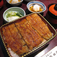 五代目 野田岩 麻布飯倉本店 - こちらはうな重の「萩」
