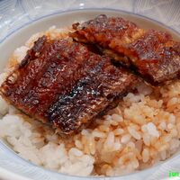 まるや本店 中部国際空港店 - （2021年04月）