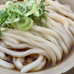 うどんのふじい - モチーな感触の麺。
