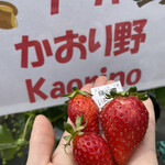 姫路ハートフル観光農園 - 