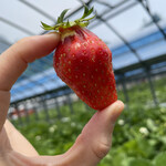 姫路ハートフル観光農園 - 