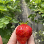 姫路ハートフル観光農園 - 