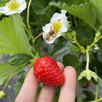 姫路ハートフル観光農園 - 