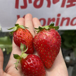 姫路ハートフル観光農園 - 