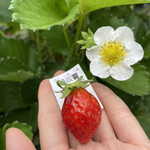 姫路ハートフル観光農園 - 