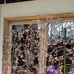 Prince Hotel Shinagawa - 内観：4月のロビーの一画