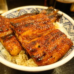Unamasa - 鰻丼ダブルご飯大盛