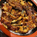 名古屋 なまずや - ひつまぶしアップ