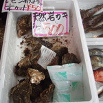 マリンドリーム能生 - 岩牡蠣がありました2009.5.3