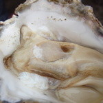 マリンドリーム能生 - 岩牡蠣はその場で食べることができます