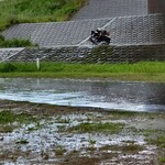 Higashi Abiko Kantorikurabu - 午後は天気が大雨雷で土砂降りだー