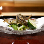 青蓮院門跡前 月おか - 