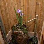 青蓮院門跡前 月おか - 