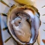 カラオケ鮮魚列車 - 岩牡蠣