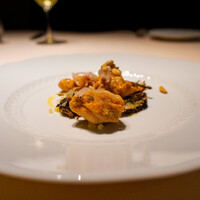 フォリオリーナ・デッラ・ポルタ・フォルトゥーナ - 