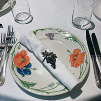 ヴォーロ・コズィ - 