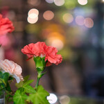 Aoyama Flower Market TEA HOUSE - 