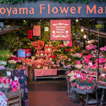 Aoyama Flower Market TEA HOUSE - 