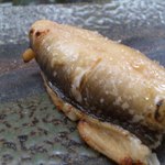 寿司割烹 魚紋 - メソではない、ちょっと大きめの穴子、塩。