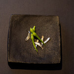 プレゼンテ スギ - 2021.5 聖護院大根の種、利根川ボラ稚魚の塩漬け乾燥