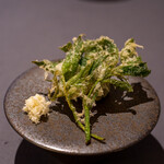 プレゼンテ スギ - 2021.5 海と山の恵み（ニワトコ新芽フリット、蕗の薹アカイカ青トマトピクルスのタルタル、市原の山わさび）