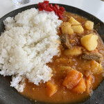 本栖館 - 鹿カレー