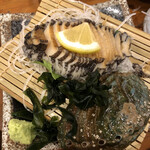 浜焼太郎 - 鮑のお刺身